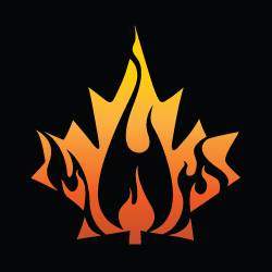 Canadian Grilling Company | restaurant | 68 University Ave unit c, Kingston, ON K7L 3N9, Canada | 6135332181 OR +1 613-533-2181