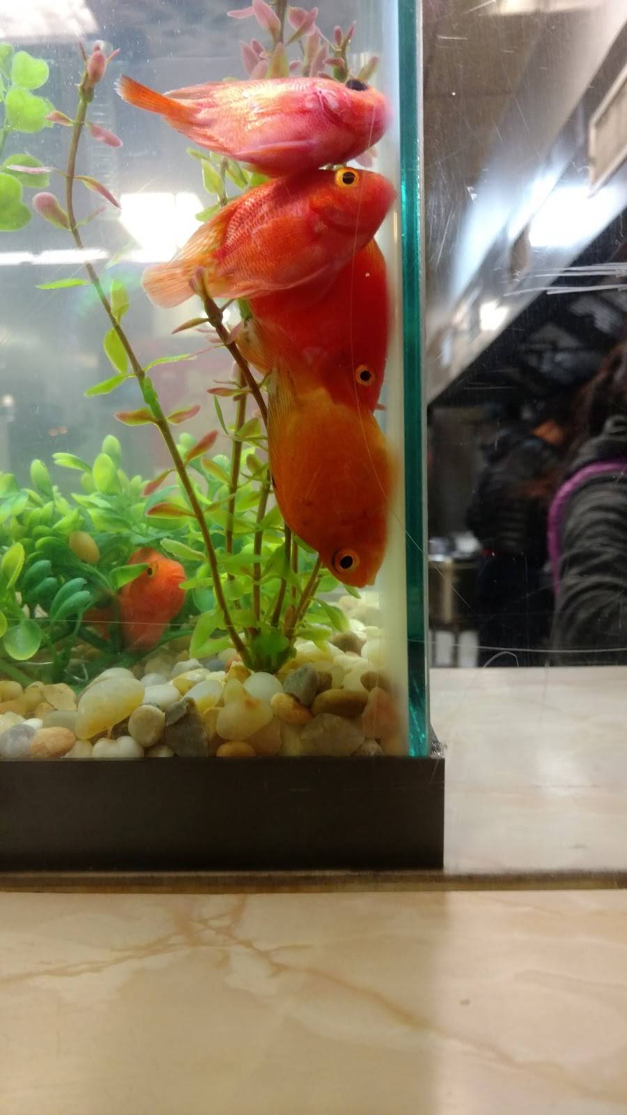 Wan Jing Lou Restaurant | restaurant | 1808 Creighton Rd, Richmond, VA 23223, USA | 8046499888 OR +1 804-649-9888