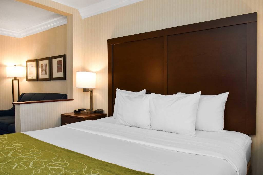 Comfort Suites Downtown Carlisle | restaurant | 10 S Hanover St, Carlisle, PA 17013, USA | 7179601000 OR +1 717-960-1000