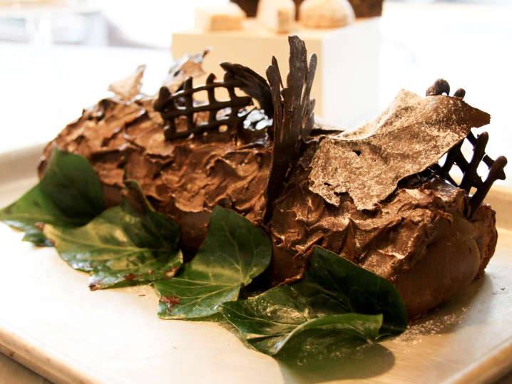 Cozymeal | restaurant | 97 S 2nd St #247, San Jose, CA 95113, USA | 6699004030 OR +1 669-900-4030