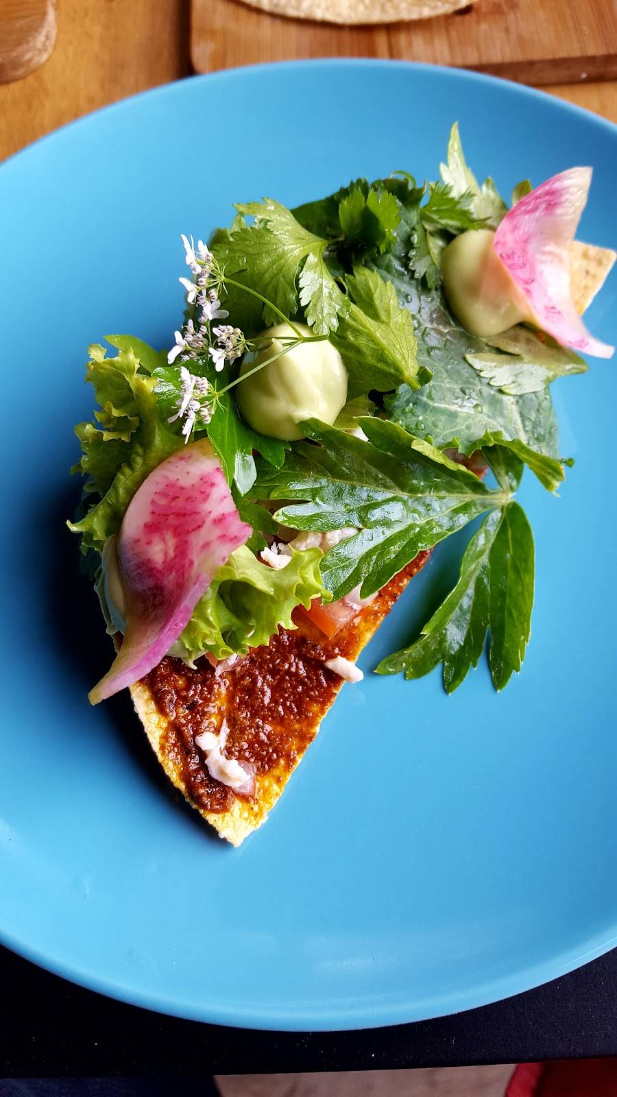 Malva | restaurant | Carretera Ensenada-Tecate Km 96, Ensenada, B.C., Mexico | 016461553085 OR +52 646 155 3085