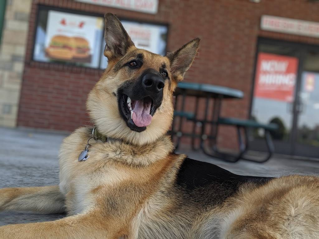 Sonic Drive-In | restaurant | 1133 W 81st St S, Tulsa, OK 74132, USA | 9184474425 OR +1 918-447-4425