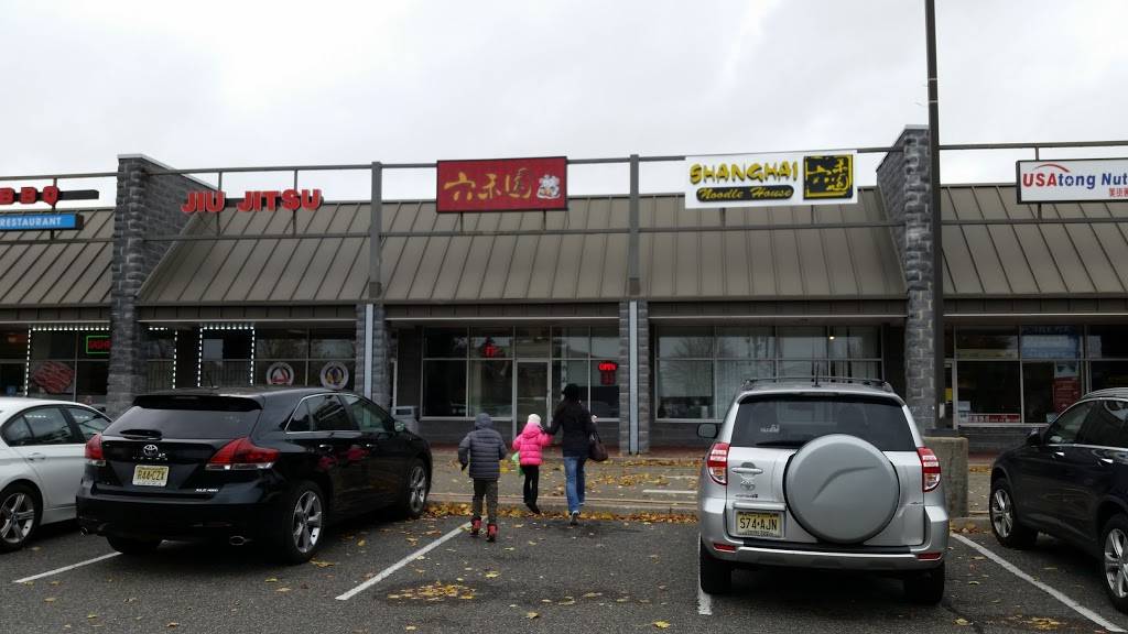 ShangHai Noodle House | restaurant | 518 Old Post Rd, Edison, NJ 08817, USA | 7322488688 OR +1 732-248-8688