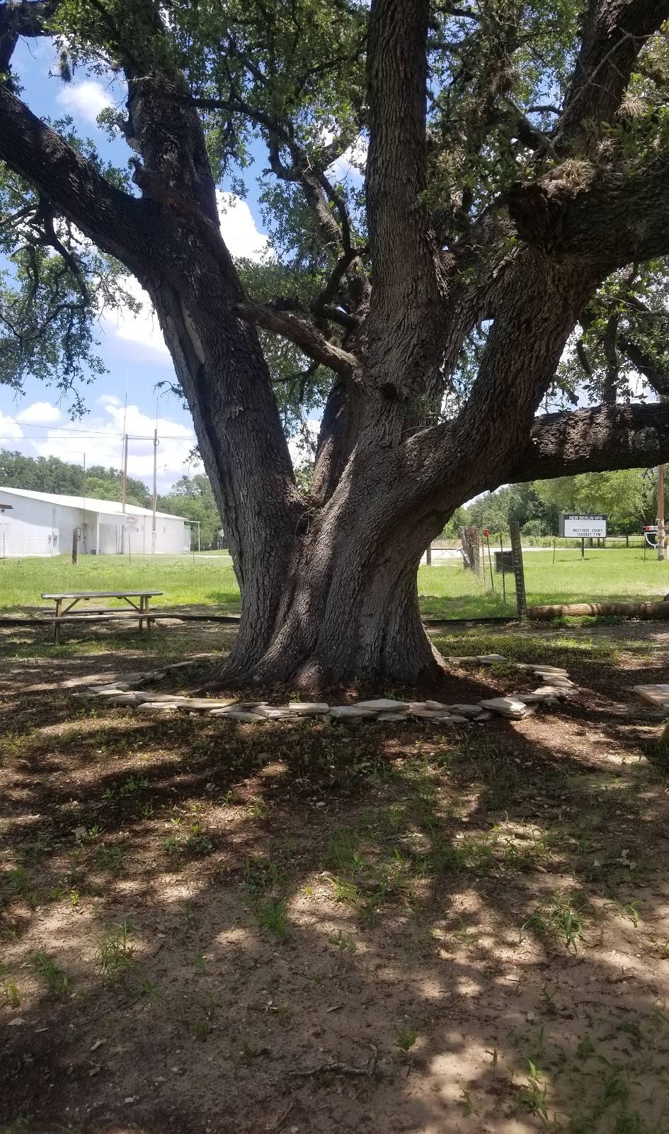 Down On Main | restaurant | 8806 FM 775, Seguin, TX 78155, USA | 8304203398 OR +1 830-420-3398