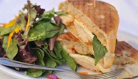 Purple Onion Café | cafe | 26 E Main St, Los Gatos, CA 95030, USA | 4083544125 OR +1 408-354-4125