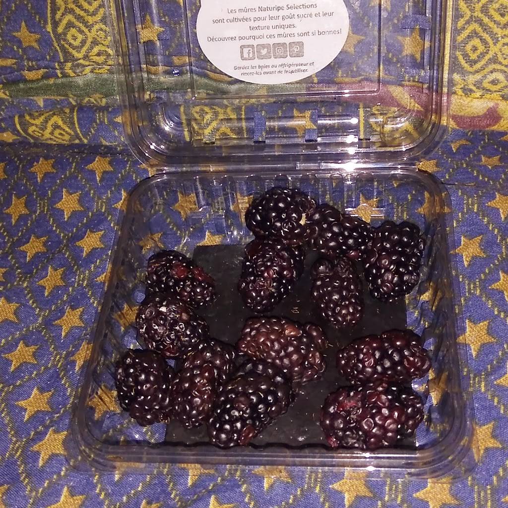 Winstons Jamaican Restaurant | restaurant | 619 N 7th St, Allentown, PA 18102, USA | 4842219682 OR +1 484-221-9682