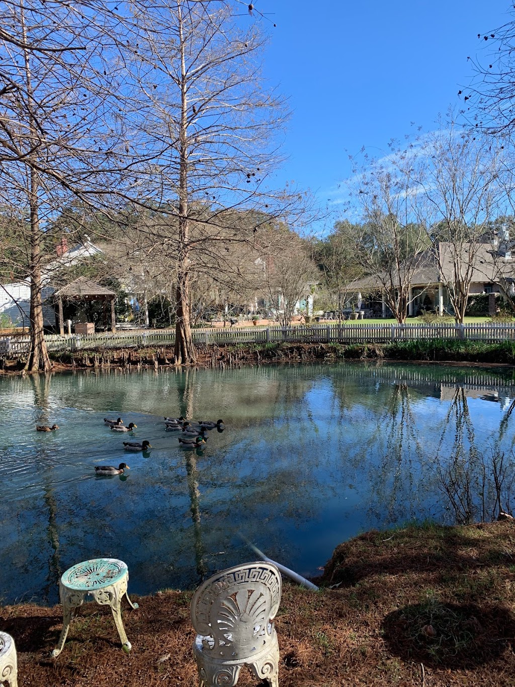 The Carriage House Restaurant at The Myrtles Plantation | restaurant | 7747 Old Hwy 61, St Francisville, LA 70775, USA | 2256356278 OR +1 225-635-6278