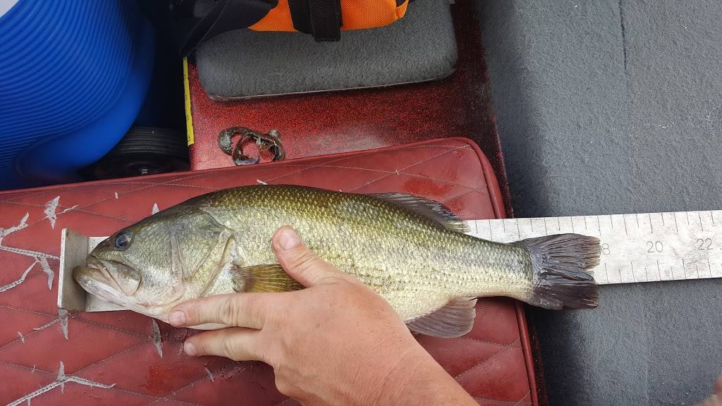 Sunsetters Waterfront Bar and Grill (Seasonal) | restaurant | 17 Waters Edge Blvd, Springfield, IL 62712, USA | 2174833625 OR +1 217-483-3625