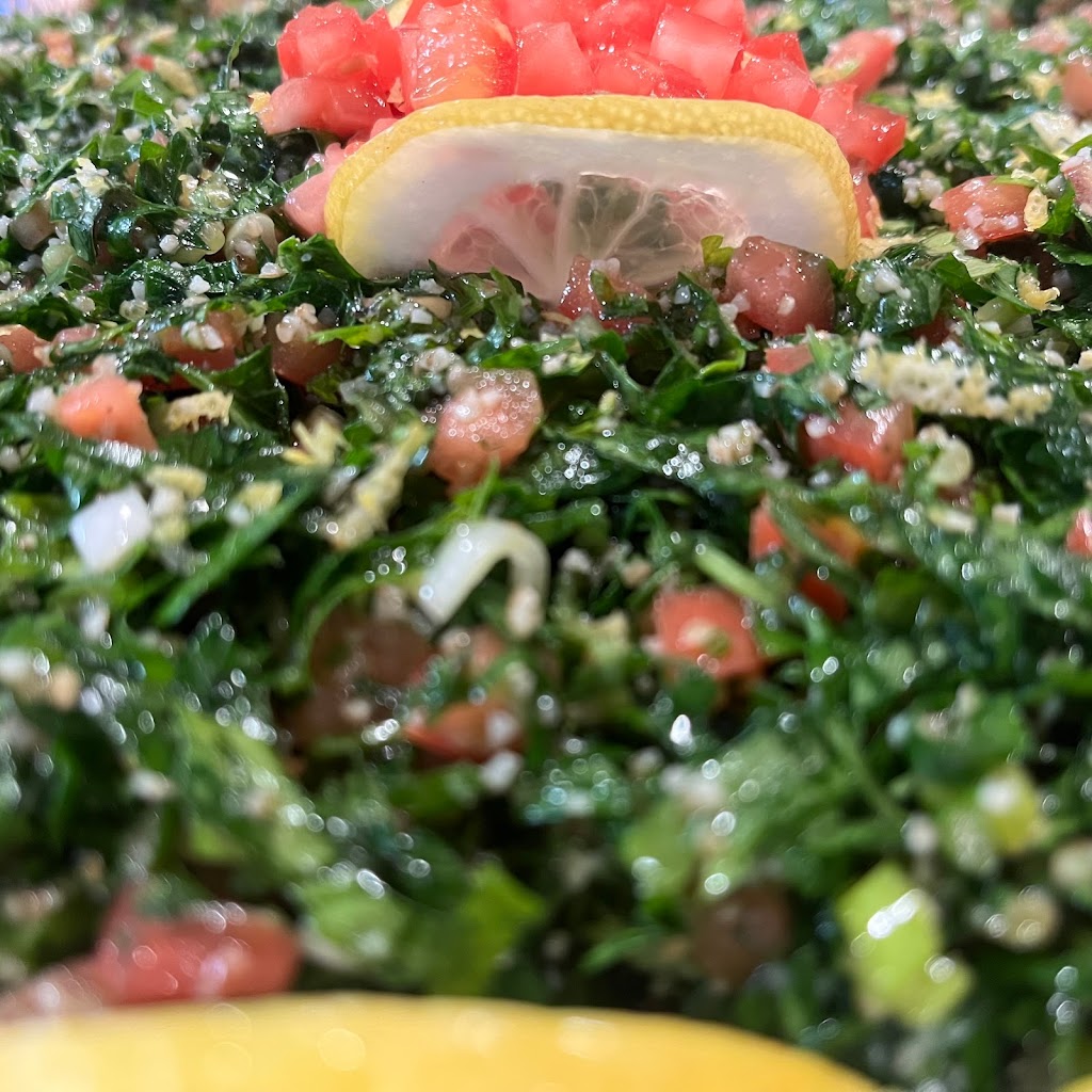 Lebanese Guys | restaurant | 7305 Bird Rd, Miami, FL 33155, USA | 7866033815 OR +1 786-603-3815