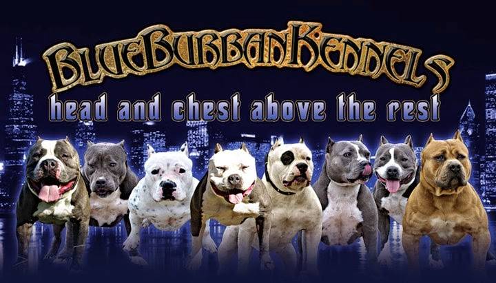 EDDIE’S BA BA BBQ | restaurant | 8511 Burgandy Ln, Temple, TX 76504, USA | 2544214333 OR +1 254-421-4333