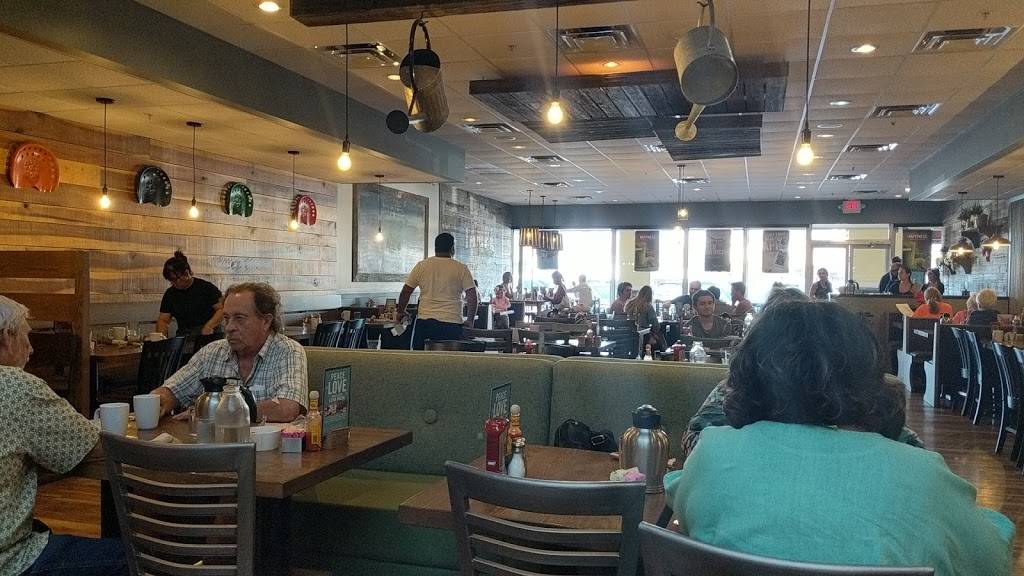 First Watch - Henderson | restaurant | 3712 Henderson Blvd, Tampa, FL 33609, USA | 8133503447 OR +1 813-350-3447