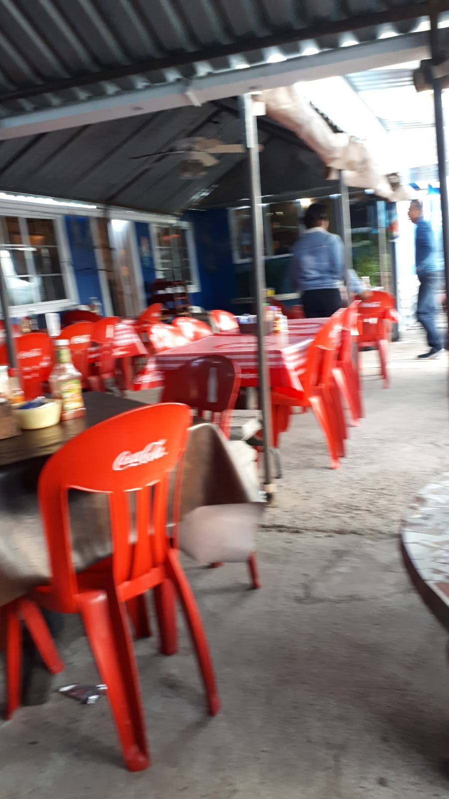 Mariscos Tamazula | restaurant | Blvd. Popotla km 32, Cuenca Diaz, Popotla, 22710 Rosarito, B.C., Mexico | 016611006586 OR +52 661 100 6586