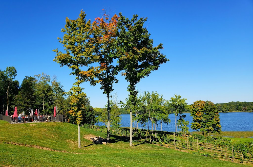 The Vineyards at Pine Lake | restaurant | 14101 Market St, Columbiana, OH 44408, USA | 2347593980 OR +1 234-759-3980