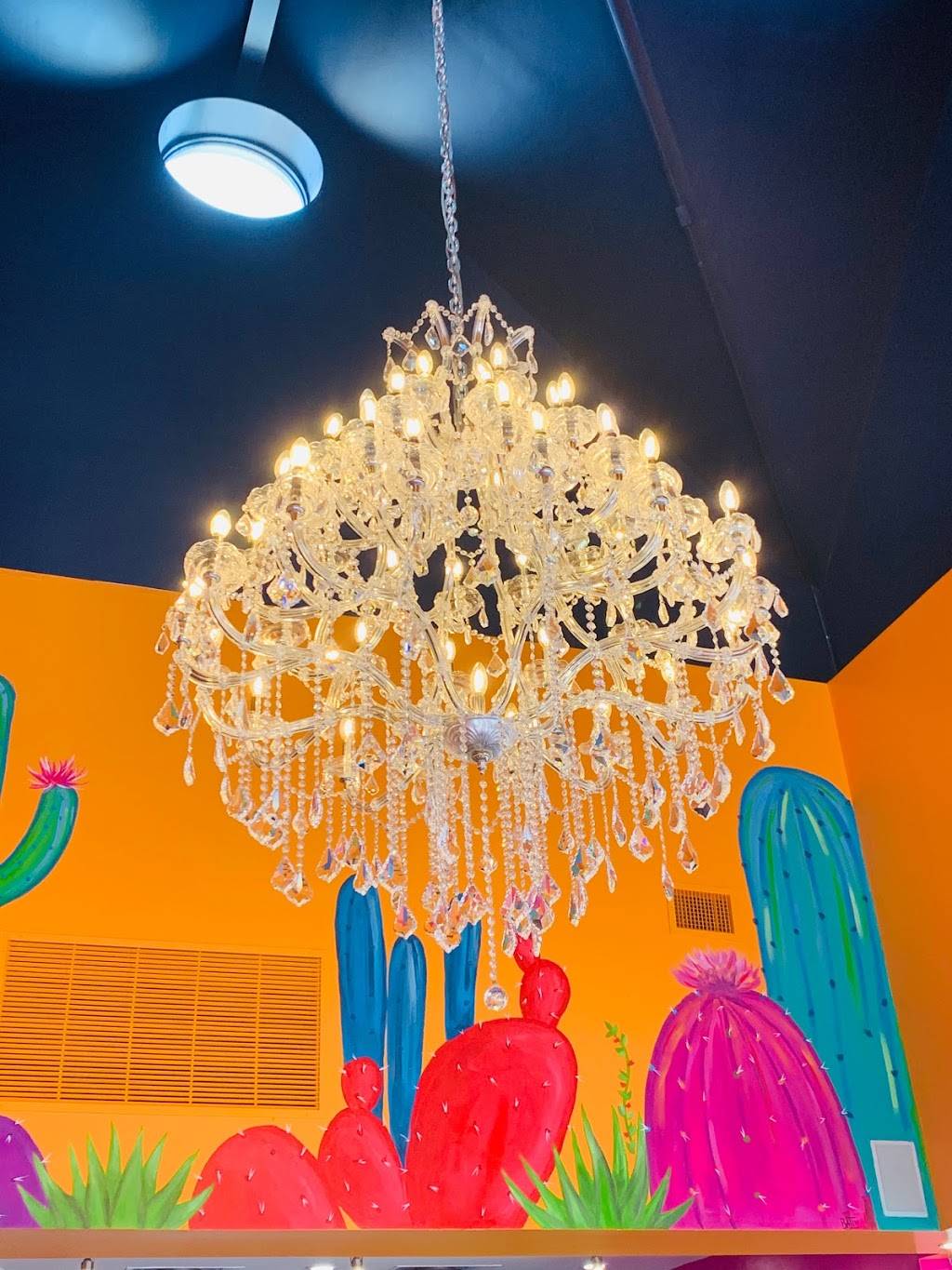 Mexico Lindo Restaurants | restaurant | 555 E Basse Rd Suite 113, San Antonio, TX 78209, USA | 2103103767 OR +1 210-310-3767