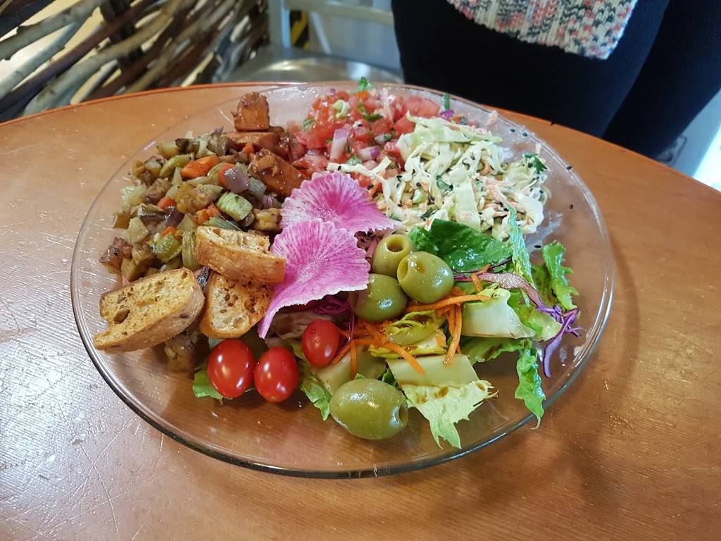 Good Earth Natural Foods | restaurant | 201 Flamingo Rd, Mill Valley, CA 94941, USA | 4153830123 OR +1 415-383-0123