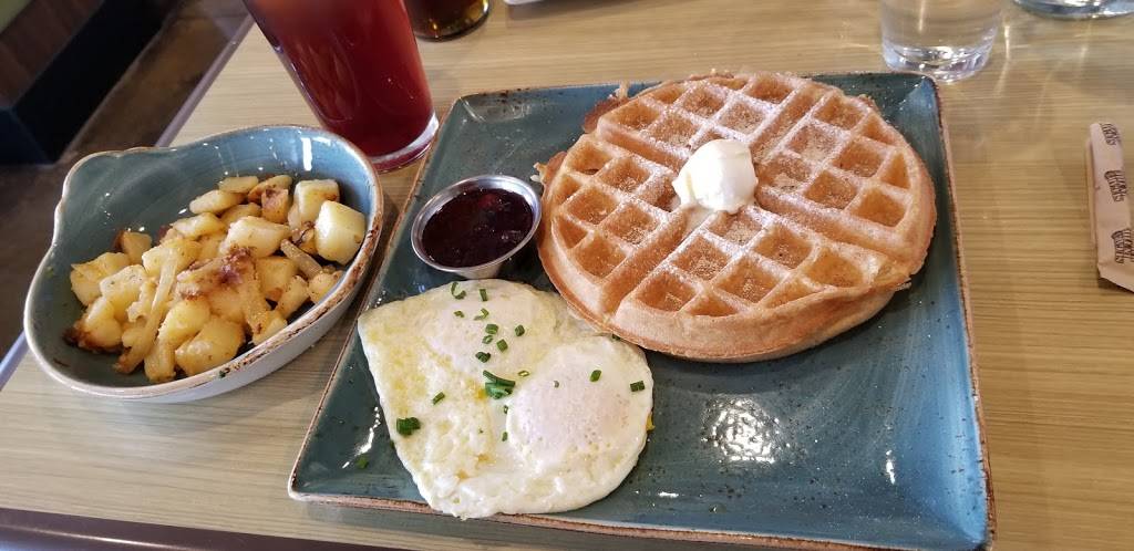 First Watch - Keystone | restaurant | 3309 E 86th St, Indianapolis, IN 46240, USA | 3176439792 OR +1 317-643-9792