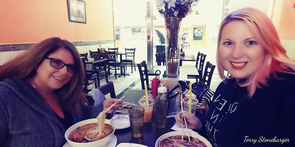 Viet Bistro | restaurant | 3849 S Delsea Dr # F28, Vineland, NJ 08360, USA | 8568255001 OR +1 856-825-5001