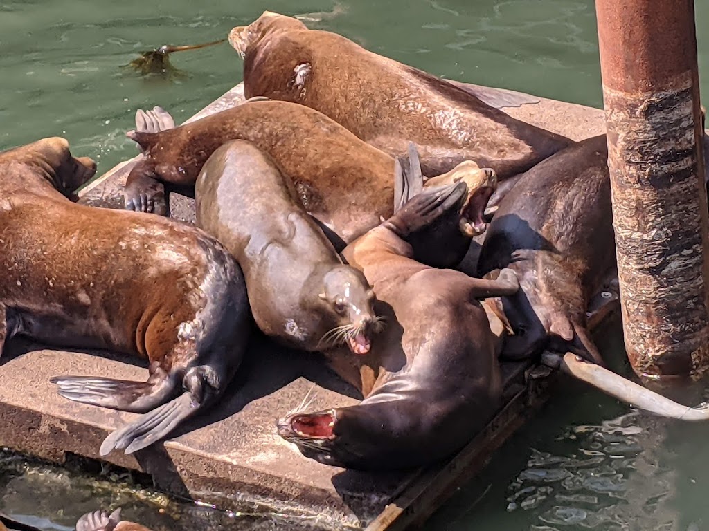 Clearwater Restaurant | restaurant | 325 SW Bay Blvd., Newport, OR 97365, USA | 5412725550 OR +1 541-272-5550