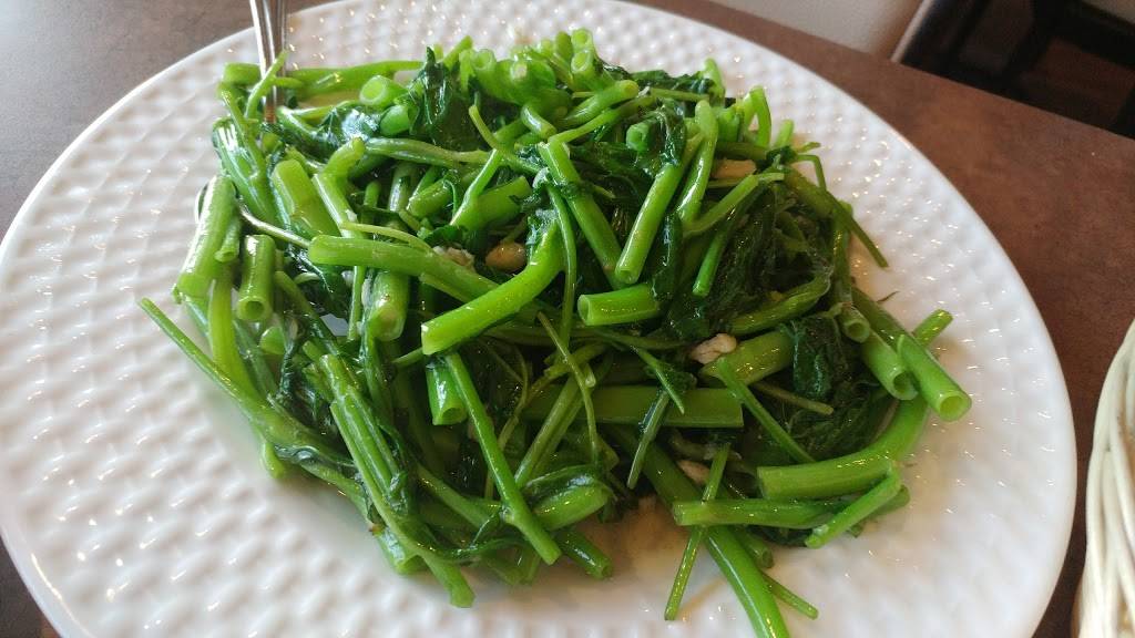 Cao Nguyen Restaurant | restaurant | 2549 S King Rd # A16, San Jose, CA 95122, USA | 4082709610 OR +1 408-270-9610