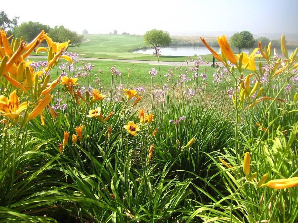 Morongo Golf Club at Tukwet Canyon | restaurant | 36211 Champions Dr, Beaumont, CA 92223, USA | 9518450014 OR +1 951-845-0014