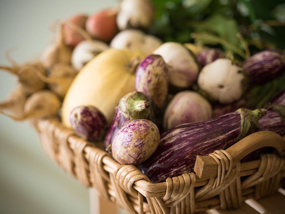 Casa Del Chef | restaurant | 39-06 64th St, Woodside, NY 11377, USA | 7184579000 OR +1 718-457-9000