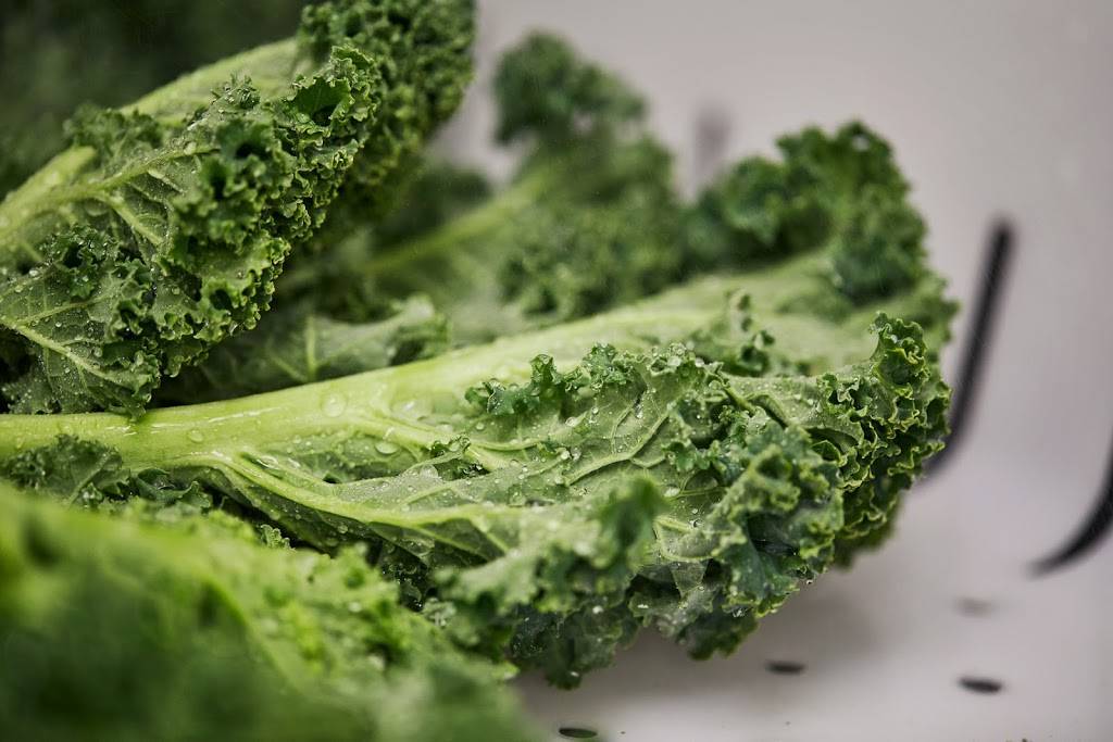 Juice Palm: 8th St Market | restaurant | 801 SE 8th St #47, Bentonville, AR 72712, USA | 4792684062 OR +1 479-268-4062