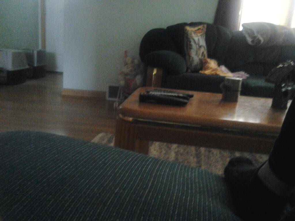 Bings Restaurant | restaurant | 1952 Kensington Ave, Buffalo, NY 14215, USA | 7168395788 OR +1 716-839-5788