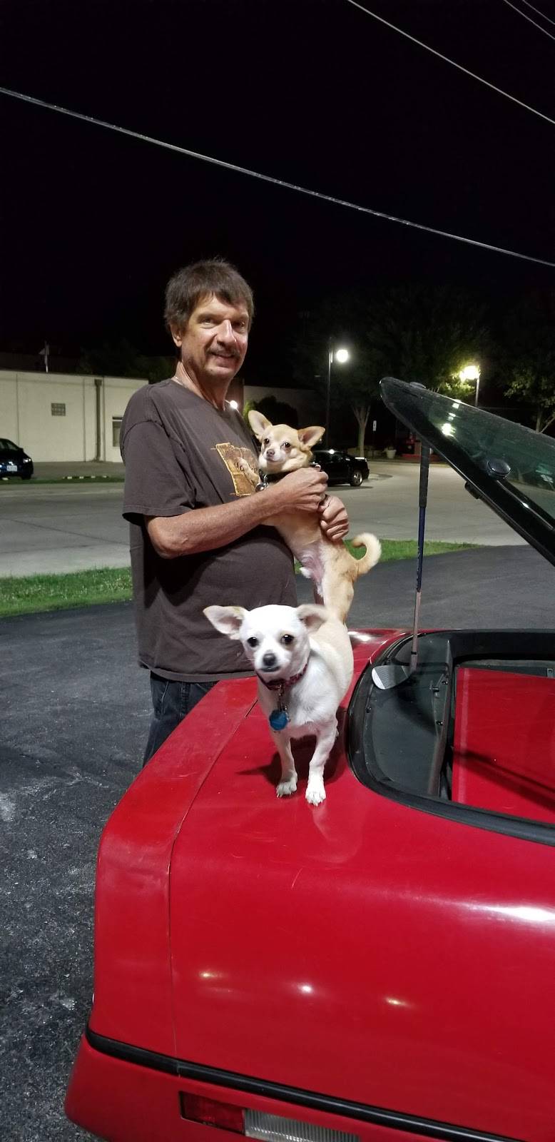 Dairy Queen | restaurant | 400 SE Douglas St, Lees Summit, MO 64063, USA | 8165247470 OR +1 816-524-7470