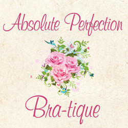 Absolute Perfection Bra-Tique | restaurant | 839 Lee-Grant Ave, Appomattox, VA 24522, USA | 4343520233 OR +1 434-352-0233