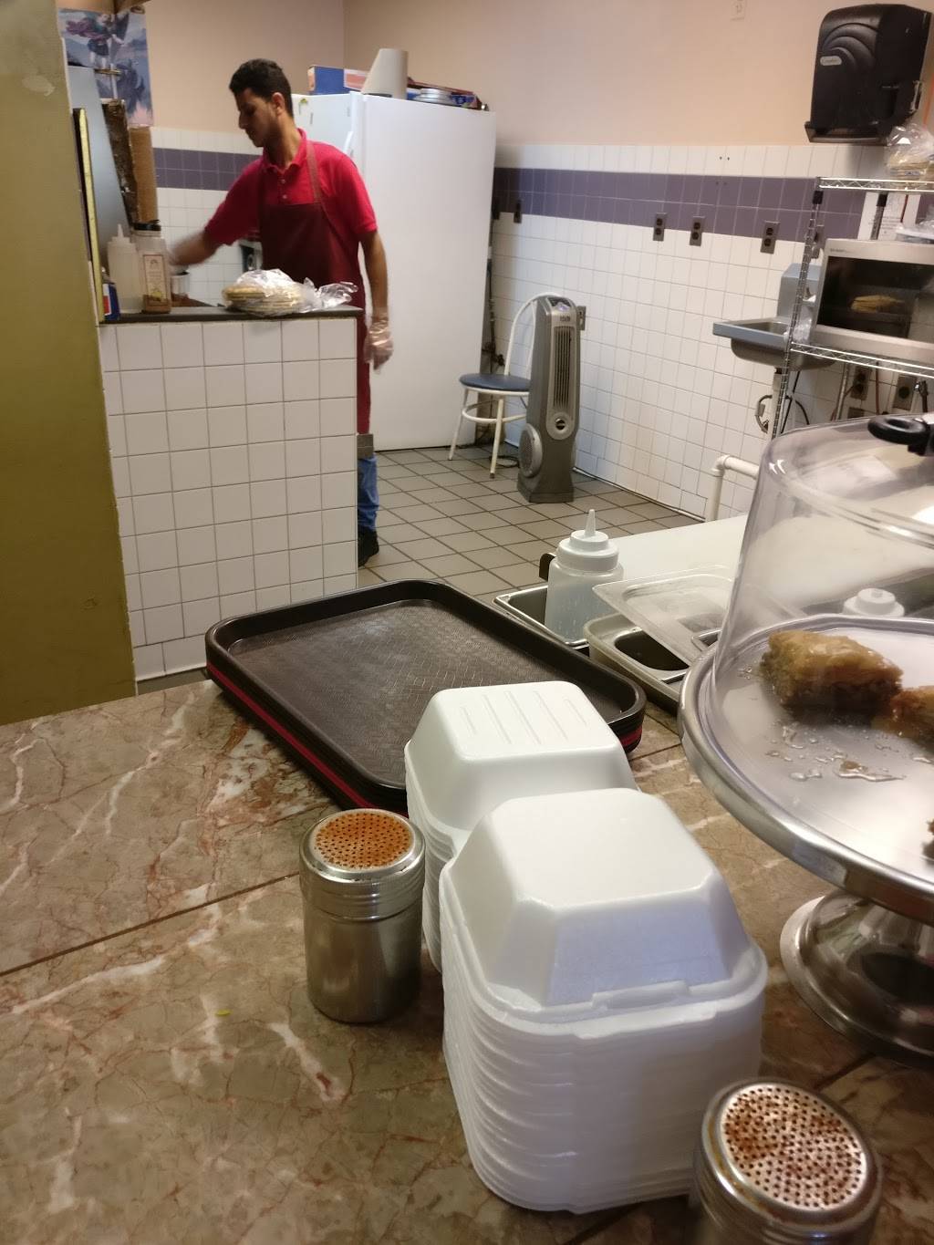 Sam Kabob Gyro | restaurant | 2500 Murfreesboro Pike #103, Nashville, TN 37217, USA | 6153675027 OR +1 615-367-5027