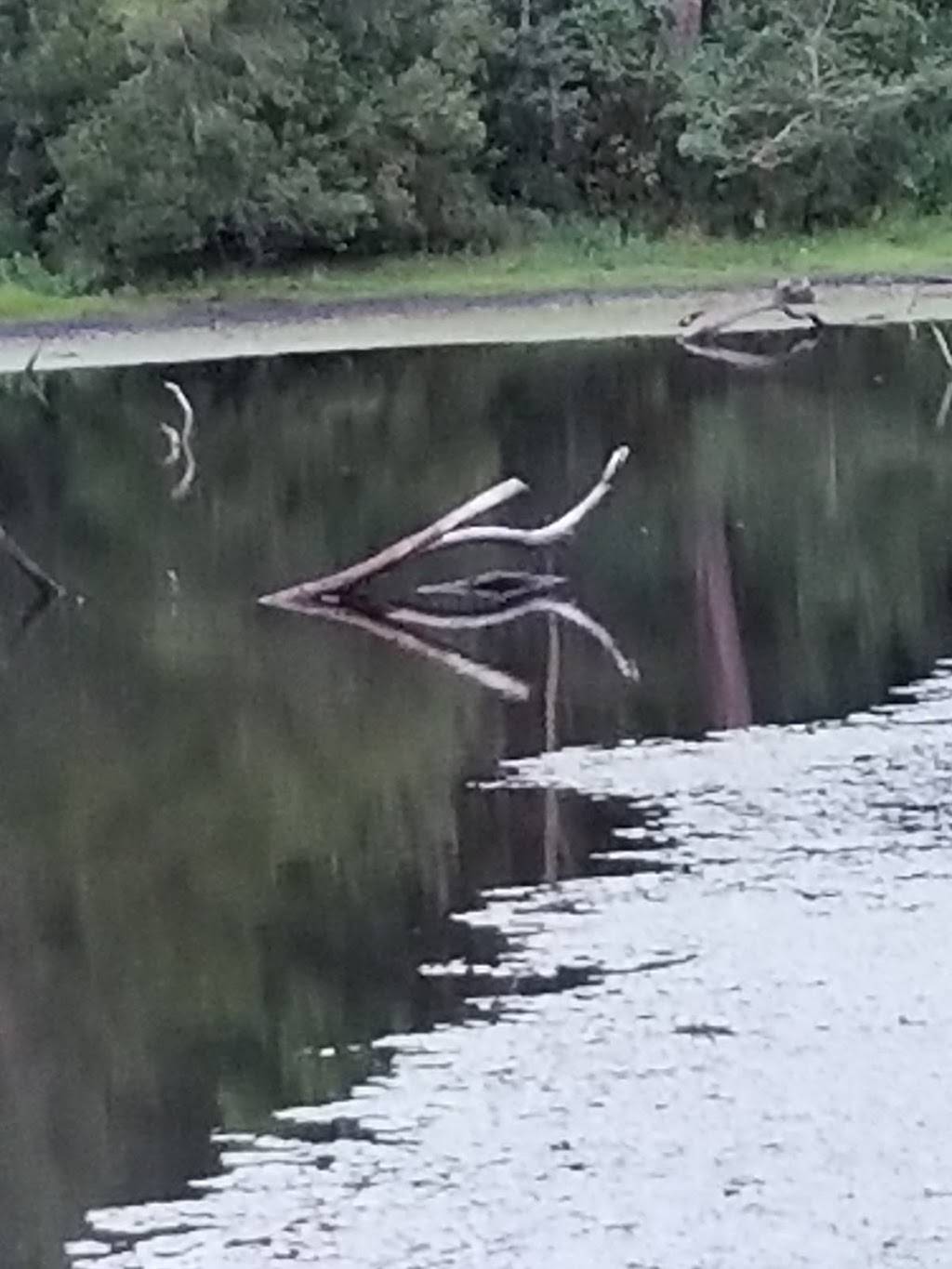 Barbara Deans Steakhouse | restaurant | 7460 Hatch Pkwy S, Baxley, GA 31513, USA | 9123660300 OR +1 912-366-0300