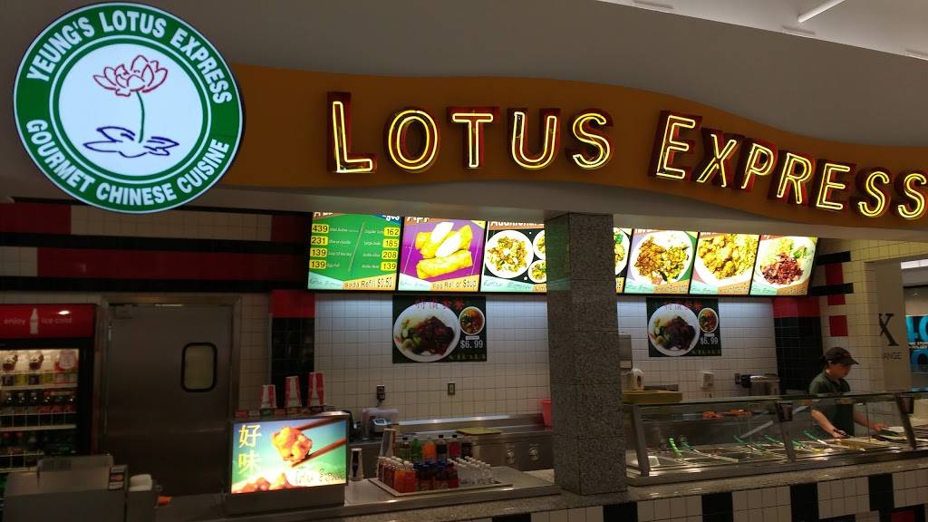 Lotus Express | restaurant | 1938 Military Rd, Niagara Falls, NY 14304, USA | 7162985688 OR +1 716-298-5688