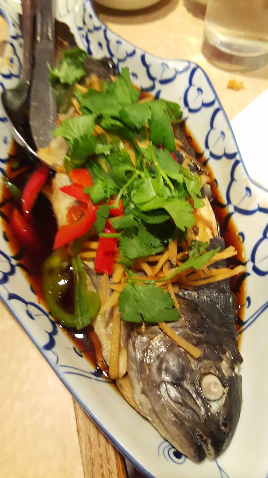 Thailand Plaza | restaurant | 5321 Hollywood Blvd, Los Angeles, CA 90027, USA | 3239939000 OR +1 323-993-9000