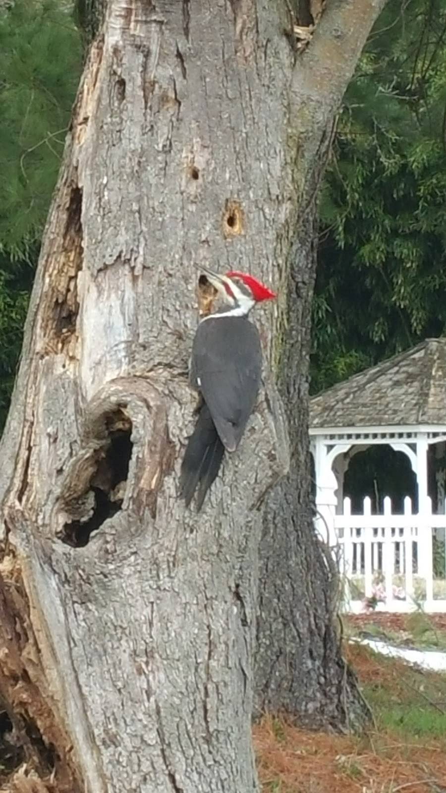 Nixons Farm | restaurant | 2800 Nixons Farm Ln, West Friendship, MD 21794, USA | 4433648380 OR +1 443-364-8380