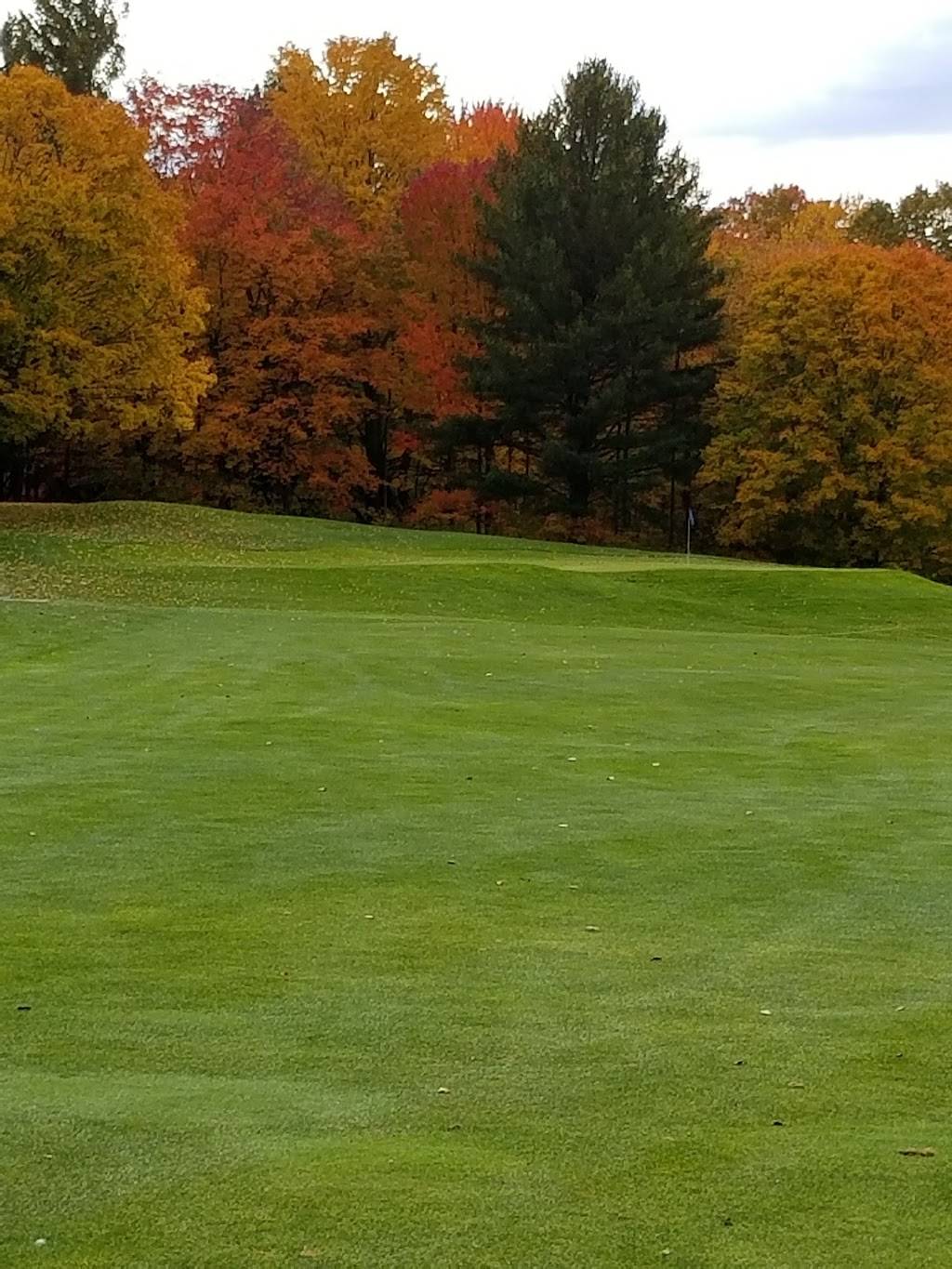 Grandview Golf Club | restaurant | 3003 Hagni Rd NE, Kalkaska, MI 49646, USA | 2312583244 OR +1 231-258-3244