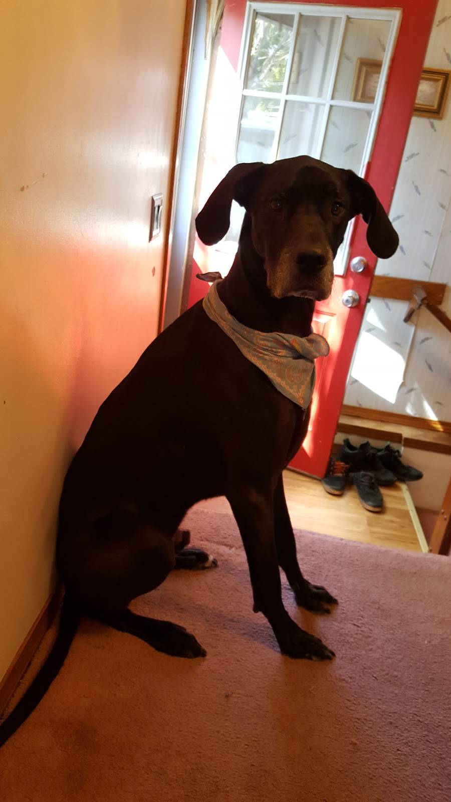 Hank Is Wiser Brewery | restaurant | 213 N Main St, Cheney, KS 67025, USA | 3165420113 OR +1 316-542-0113