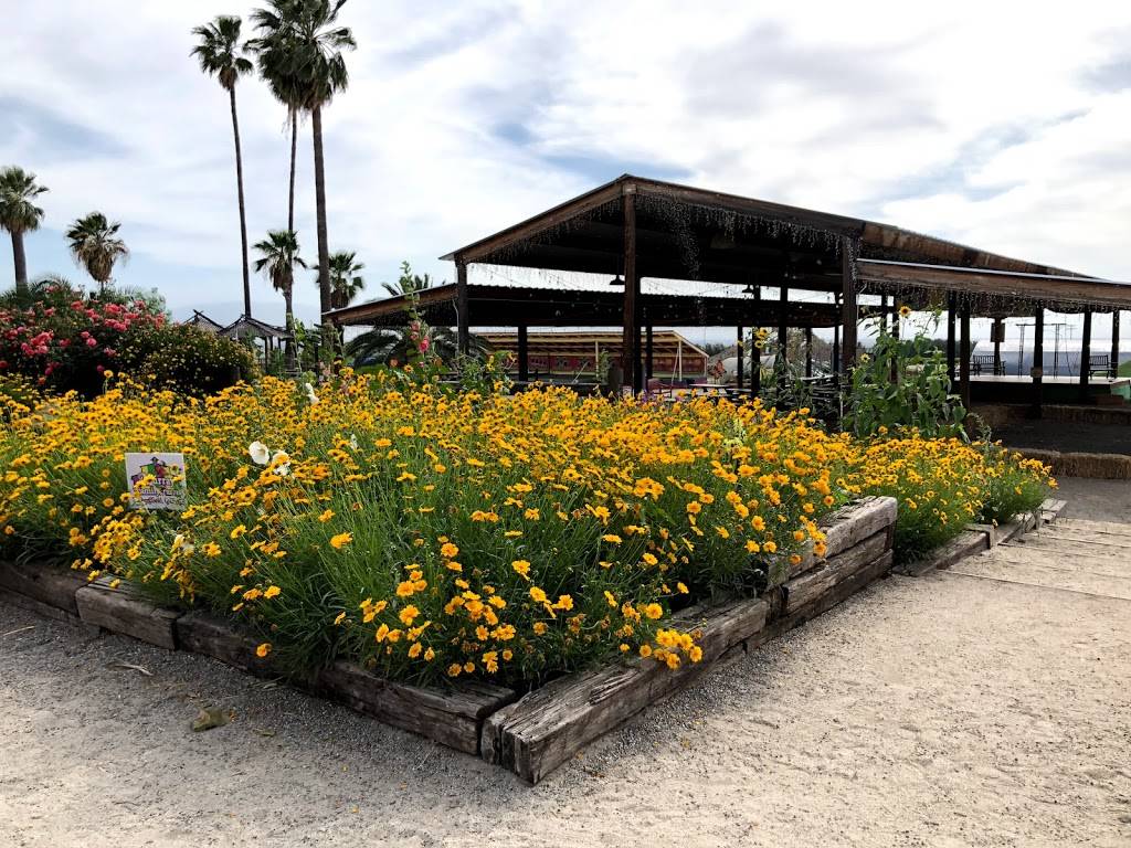 The Big Red Barn, Murray Family Farms | restaurant | 6700 General Beale Rd, Bakersfield, CA 93307, USA | 8558687729 OR +1 855-868-7729