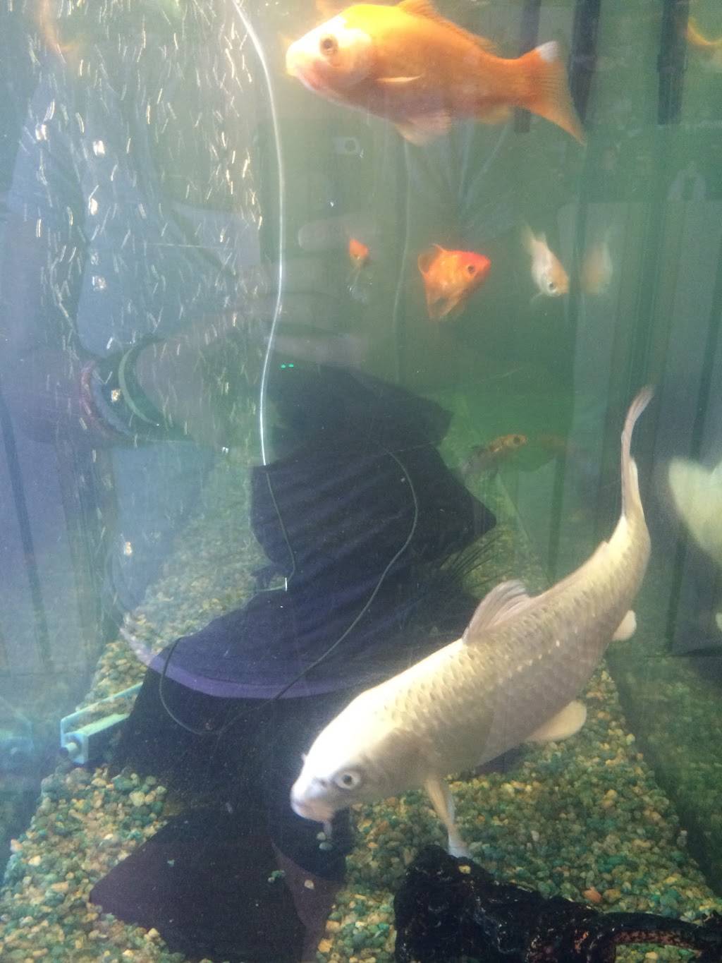 Hong Kong Garden | restaurant | 2915 Fort Campbell Blvd, Hopkinsville, KY 42240, USA | 2708854971 OR +1 270-885-4971