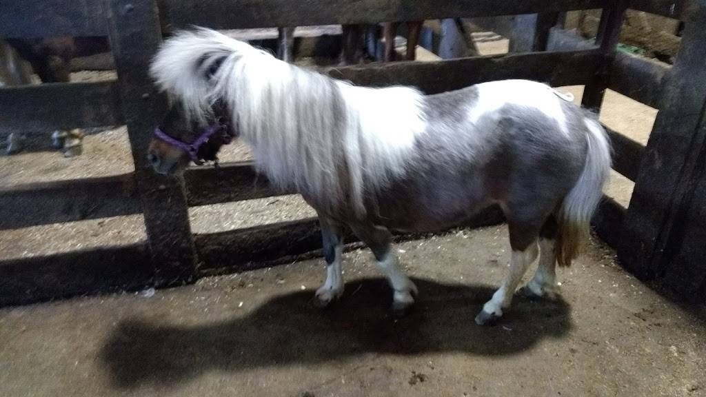 Sugarcreek Stockyard | restaurant | 102 Buckeye St, Sugarcreek, OH 44681, USA | 3308311720 OR +1 330-831-1720