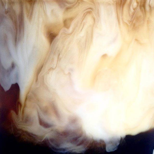 Le Bon Café | bakery | 1526, 115 Sweeten Creek Rd, Asheville, NC 28803, USA | 8285753283 OR +1 828-575-3283