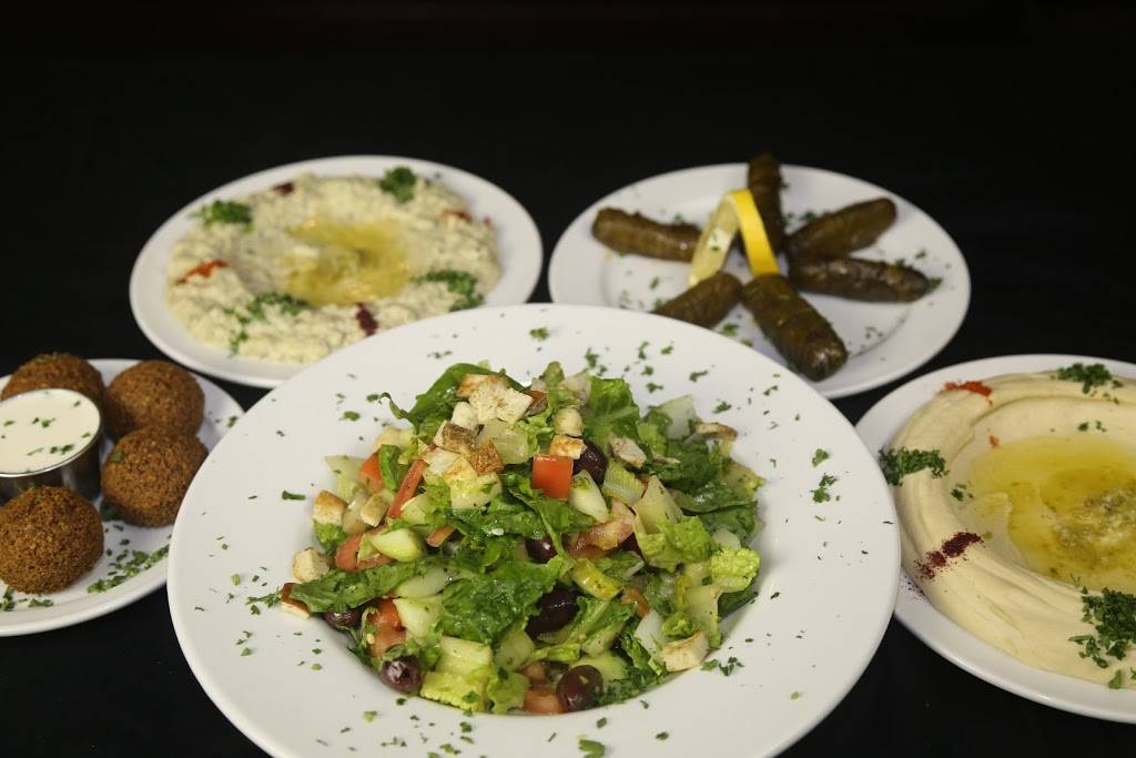 The Nile of Hyde Park | restaurant | 1162 E 55th St, Chicago, IL 60615, USA | 7733249499 OR +1 773-324-9499