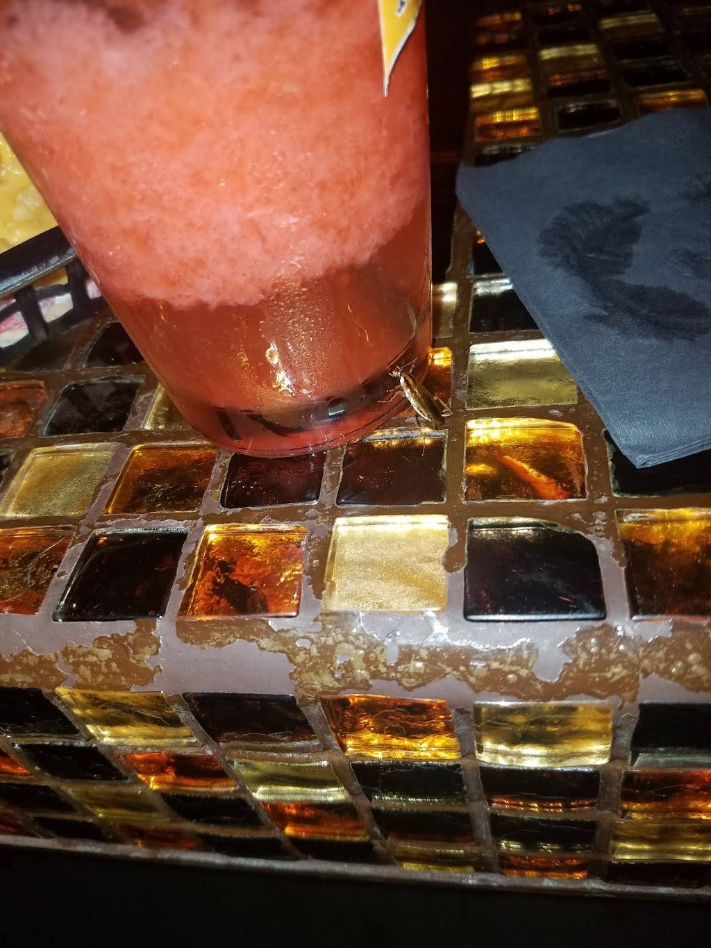 Pistoleros | restaurant | 1517 Westheimer Rd, Houston, TX 77006, USA | 2819743860 OR +1 281-974-3860