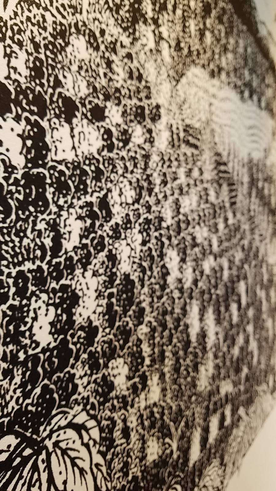 Starbucks | cafe | 1699 Carl D. Silver Pkwy, Fredericksburg, VA 22401, USA | 5409405249 OR +1 540-940-5249