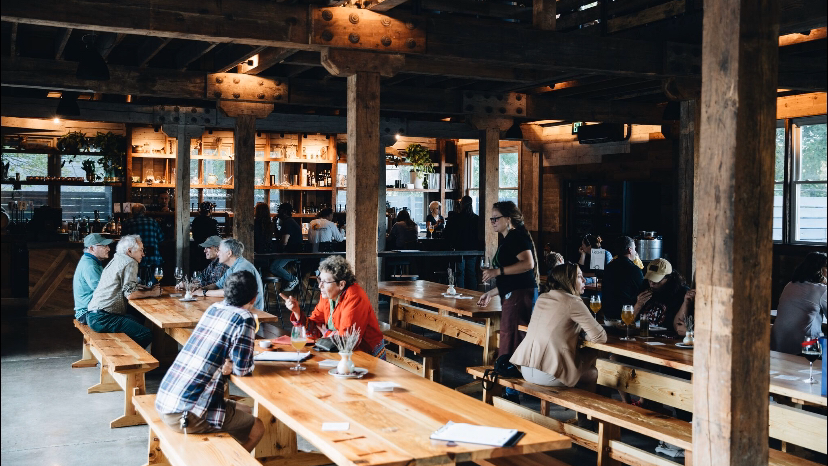 Forestry Camp Bar & Restaurant | restaurant | 10 Shady Oak Dr, Asheville, NC 28803, USA | 8285054452 OR +1 828-505-4452