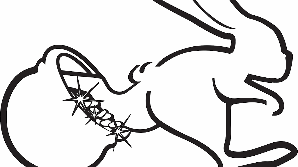 The Rabbits Foot Bar & Grill | restaurant | 1244 N 7th St, Rochelle, IL 61068, USA | 8155616541 OR +1 815-561-6541