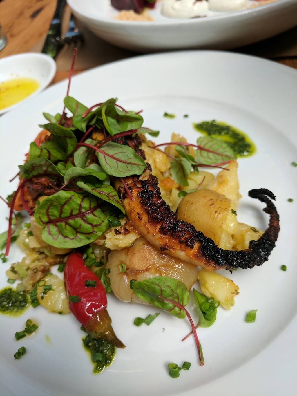 Aurora | restaurant | 70 Grand St, Brooklyn, NY 11249, USA | 7183885100 OR +1 718-388-5100