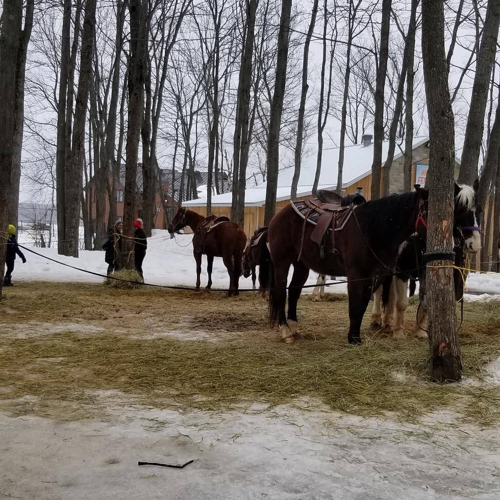 Cabane à Sucre DAmours | restaurant | 427 5e Ave, Sainte-Anne-des-Plaines, QC J0N 1H0, Canada | 4504781377 OR +1 450-478-1377