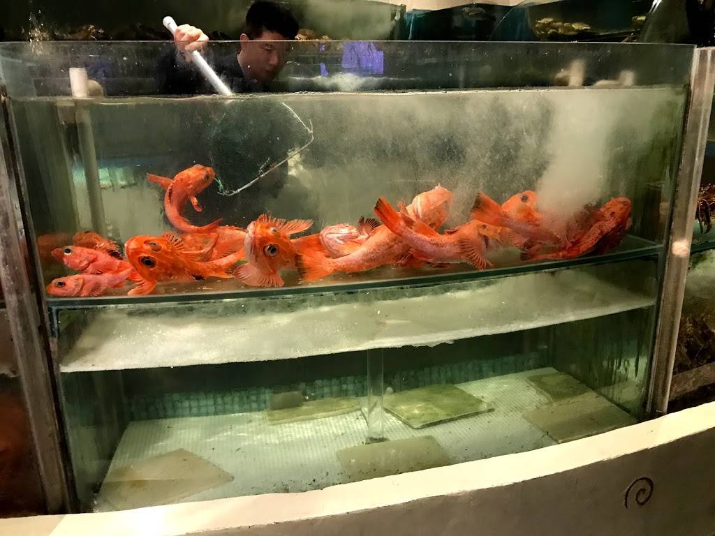 Koi Palace | restaurant | 365 Gellert Blvd, Daly City, CA 94015, USA | 6509929000 OR +1 650-992-9000