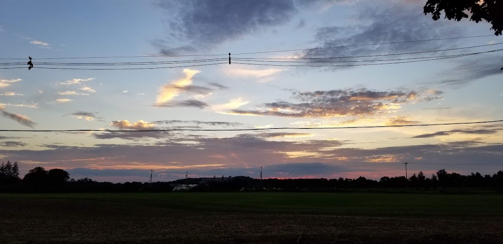 Pub 517 | restaurant | 50 Stuyvesant Rd, Green Township, NJ 07821, USA | 9088506140 OR +1 908-850-6140