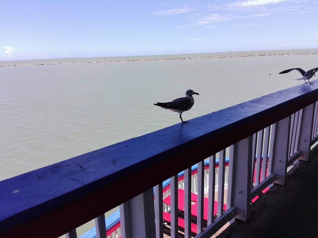 Joes Crab Shack | restaurant | 444 N Shoreline Blvd, Corpus Christi, TX 78401, USA | 3619040227 OR +1 361-904-0227